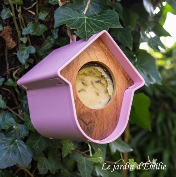 Fabriquer des boules de graisse pour les oiseaux - Jardinet - Équipez votre  jardin au meilleur prix